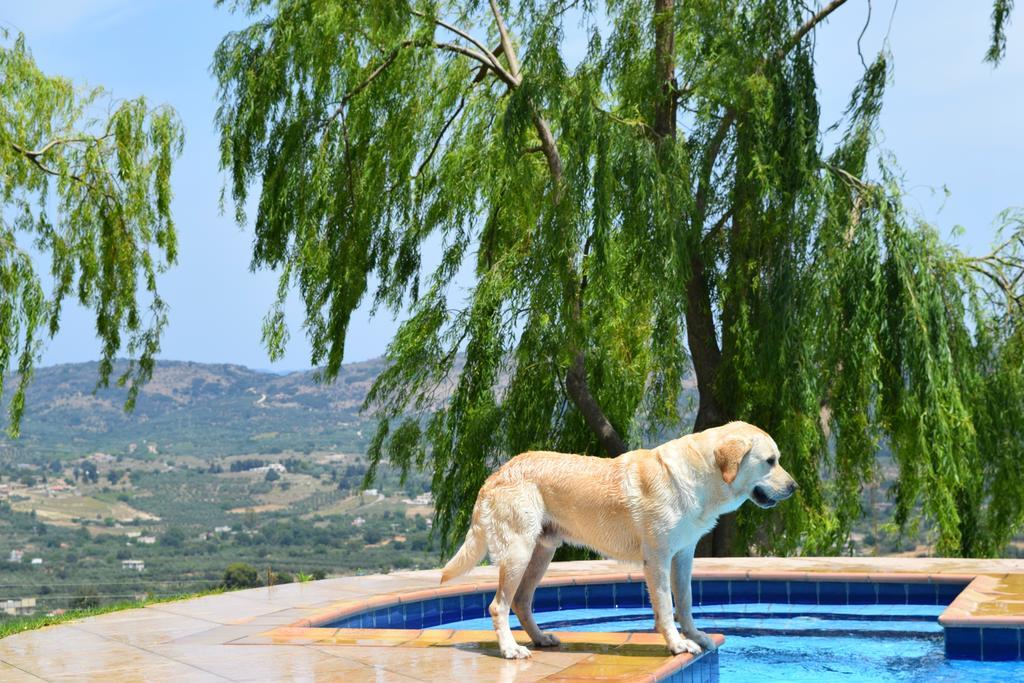 Aspalathos Villas Filippos ภายนอก รูปภาพ